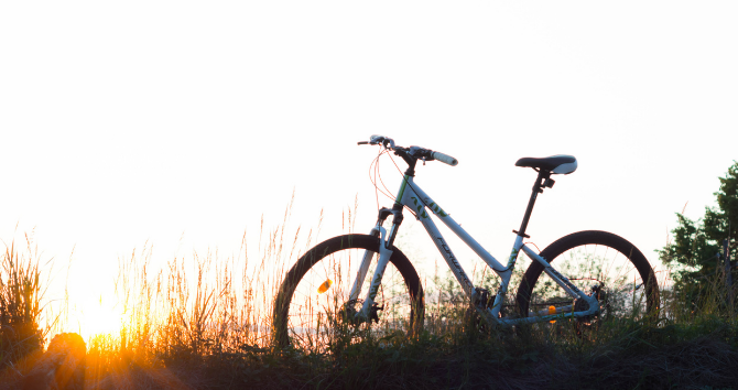 continental gatorskin tubeless